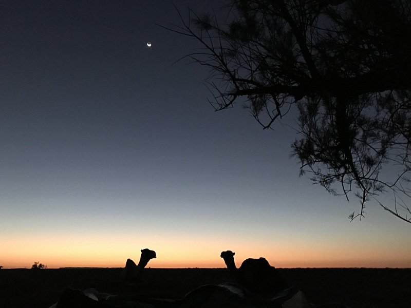 30 nov. – 14 dec. 2021- 15 daagse bezinningreis Egypte